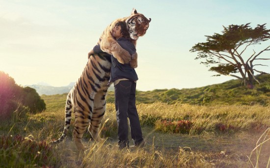 Animals That Really Need a Hug Right Now 011