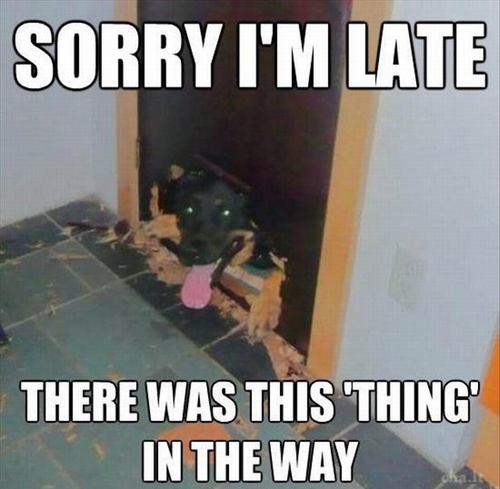 Attack of the funny animals 028