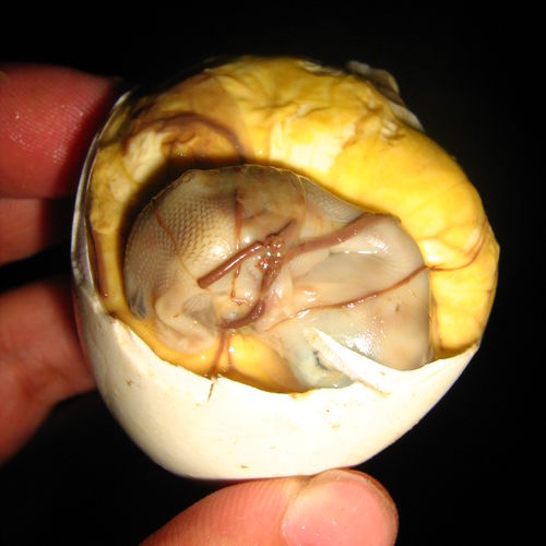 Balut - Boil fertilized duck egg (Vietnam)