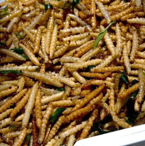 Bamboo worms (Thailand)