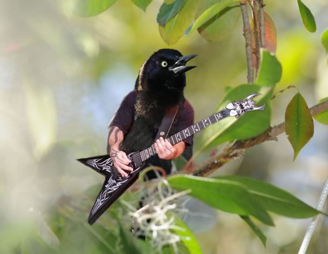 Birds With Human Arms 006