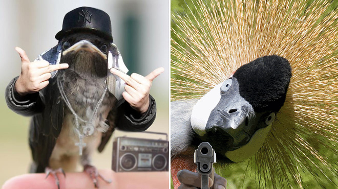 Birds With Human Arms 007