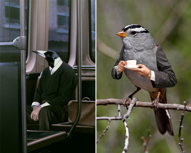 Birds With Human Arms 016