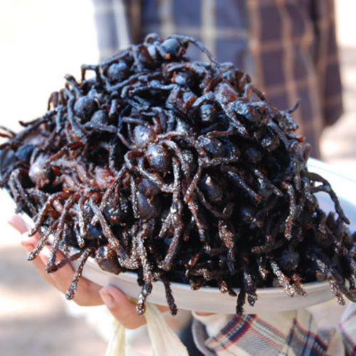 Deep Fried Tarantula (Cambodia)