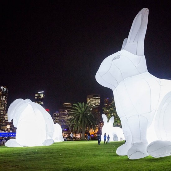 The city lights up with colour and music for Vivid Sydney 004