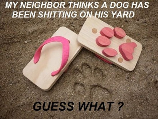 Worst Neighbors Ever 003