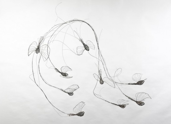 3D wire bird sculptures deliberately made to look like flattened 2D sketches 006