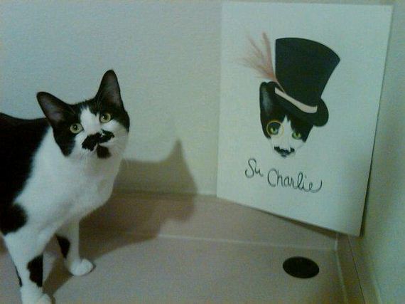 Adorable Animals Posing With Portraits of Themselves 003