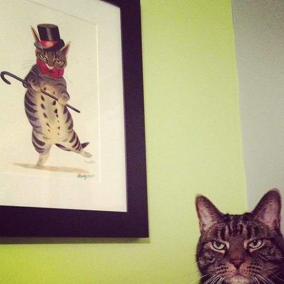 Adorable Animals Posing With Portraits of Themselves 006
