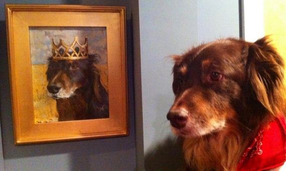Adorable Animals Posing With Portraits of Themselves 011