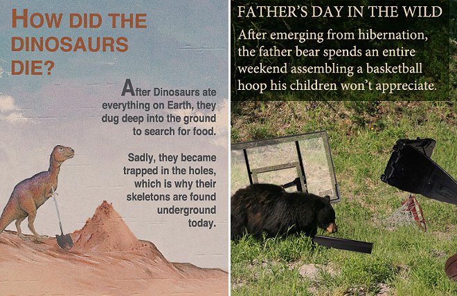 Amazing Little Known Science Facts 012