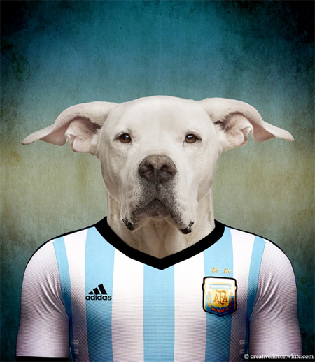 Argentina – Dogo Argentino