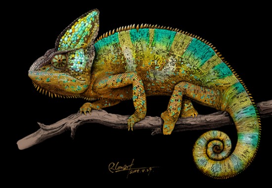 Artist Creates Incredibly Intricate And Colorful Drawings Of Animals 001