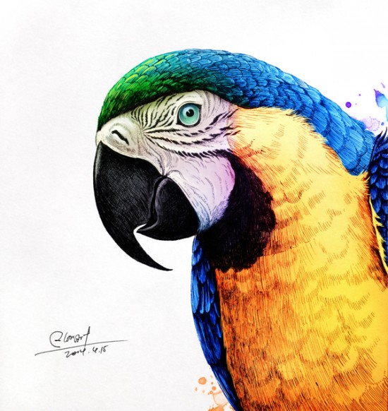 Artist Creates Incredibly Intricate And Colorful Drawings Of Animals 002