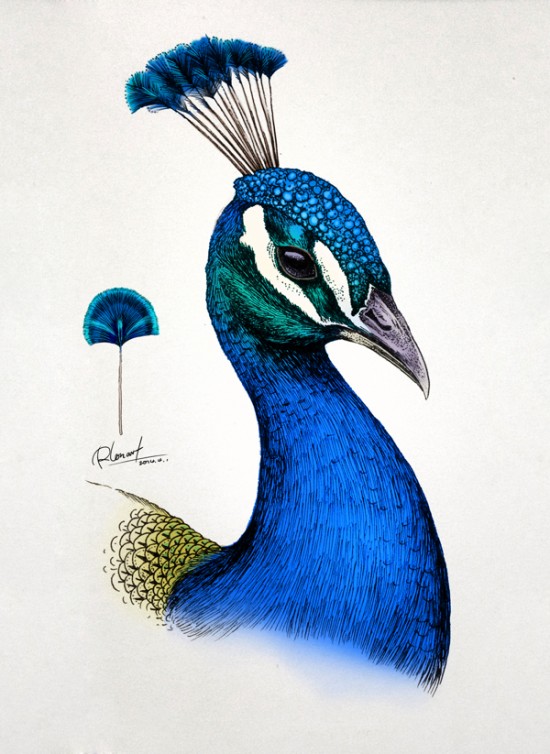 Artist Creates Incredibly Intricate And Colorful Drawings Of Animals 003