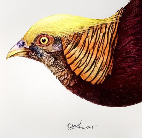 Artist Creates Incredibly Intricate And Colorful Drawings Of Animals 005