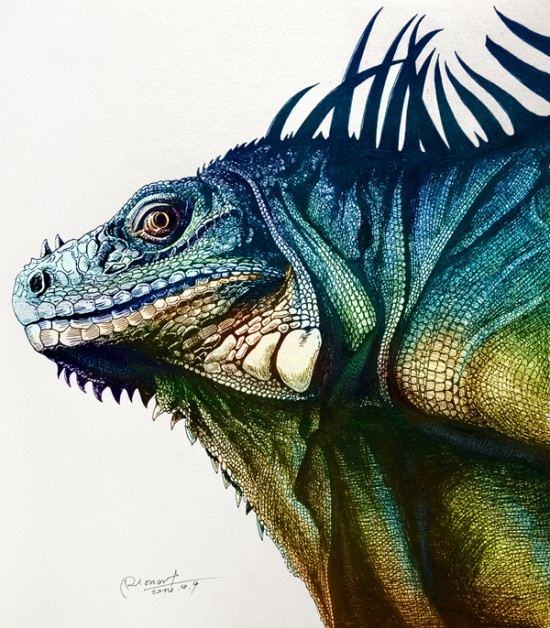 Artist Creates Incredibly Intricate And Colorful Drawings Of Animals 006