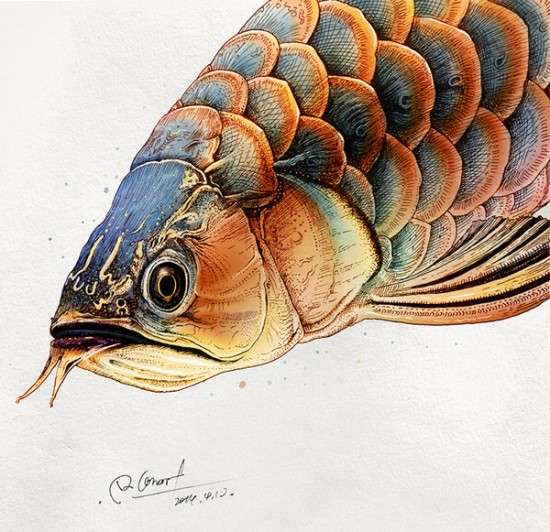 Artist Creates Incredibly Intricate And Colorful Drawings Of Animals 007