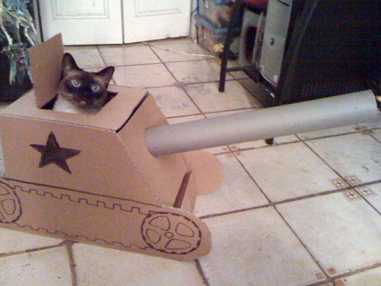 Cats vs. Cardboard Boxes 002