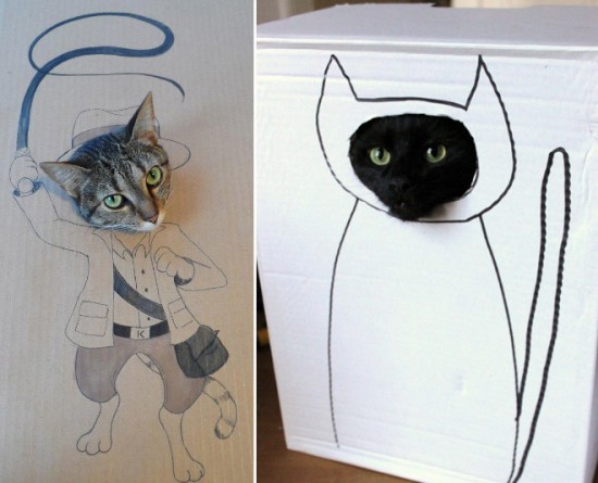 Cats vs. Cardboard Boxes 014