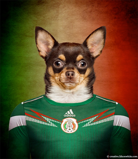Mexico – Chihuahua