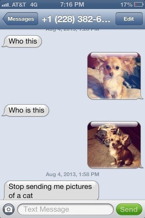 The Best Way To Respond To A Wrong Number Text 019