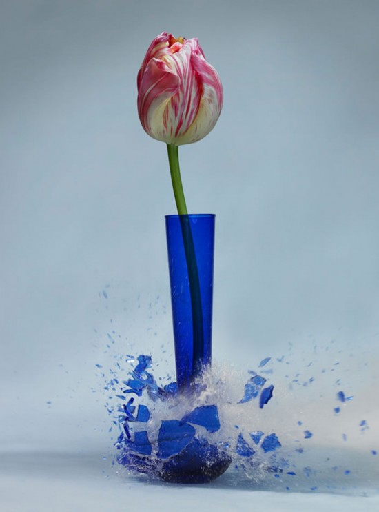 These high-speed photos capture delicate flower vases shattering in mid-air 005