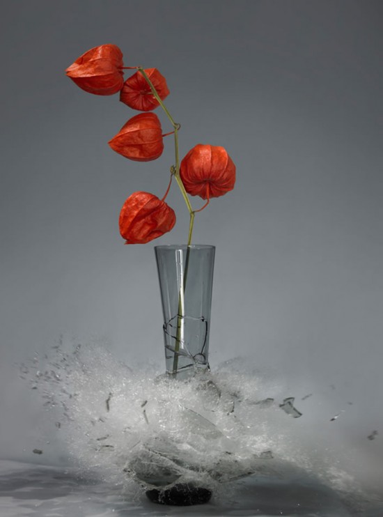 These high-speed photos capture delicate flower vases shattering in mid-air 006