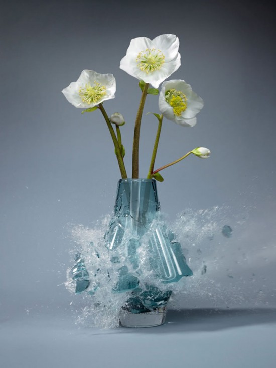 These high-speed photos capture delicate flower vases shattering in mid-air 008