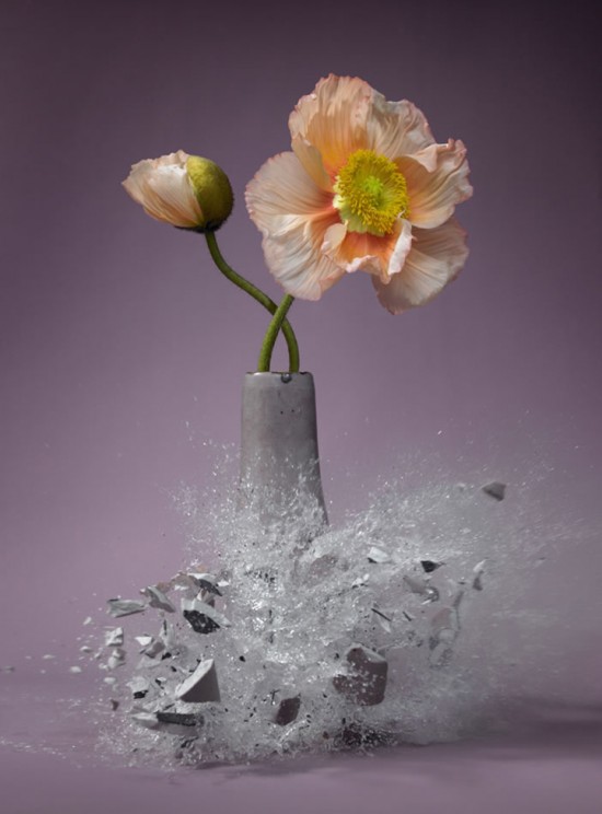 These high-speed photos capture delicate flower vases shattering in mid-air 009