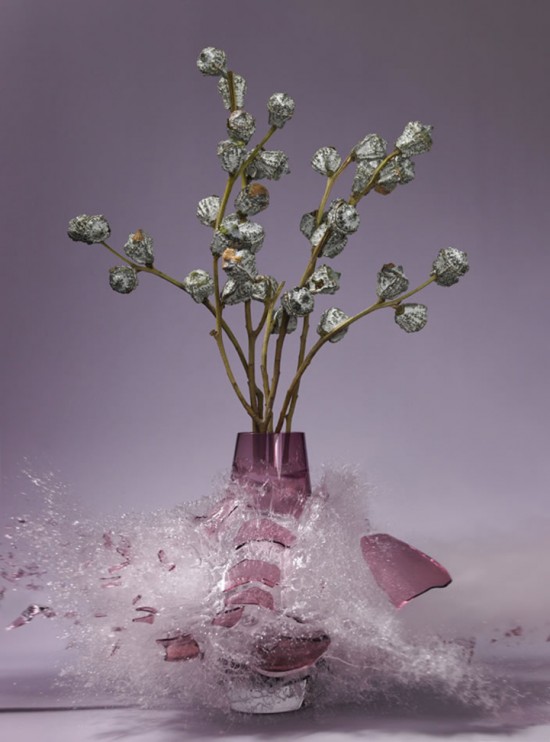 These high-speed photos capture delicate flower vases shattering in mid-air 011
