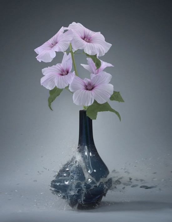 These high-speed photos capture delicate flower vases shattering in mid-air 014