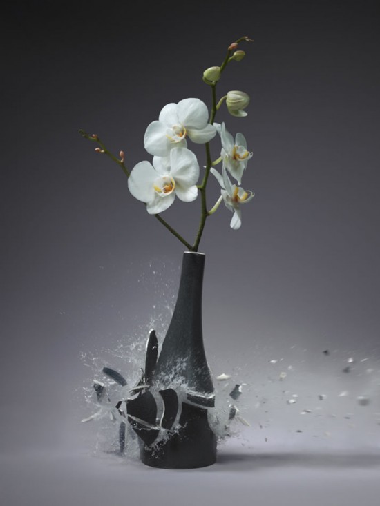 These high-speed photos capture delicate flower vases shattering in mid-air 015