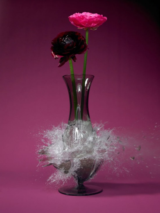 These high-speed photos capture delicate flower vases shattering in mid-air 016