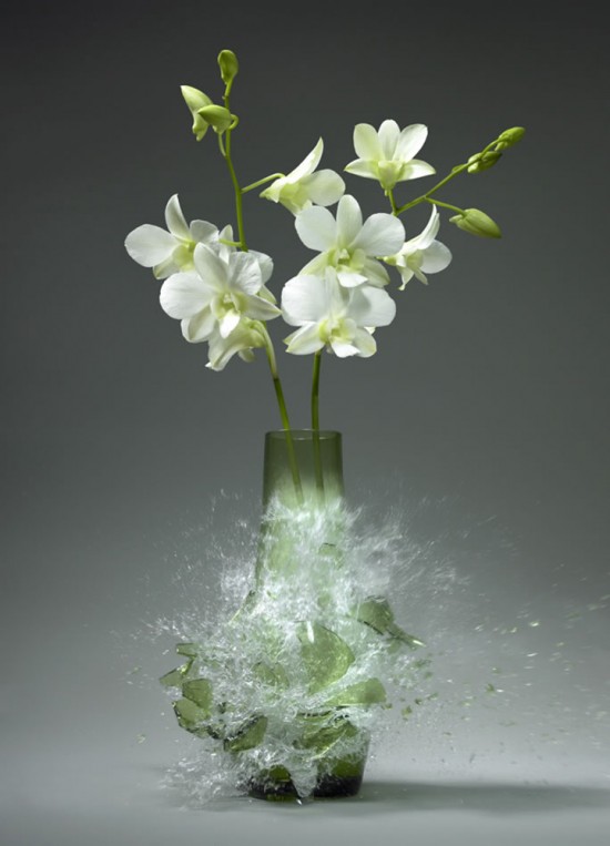 These high-speed photos capture delicate flower vases shattering in mid-air 017