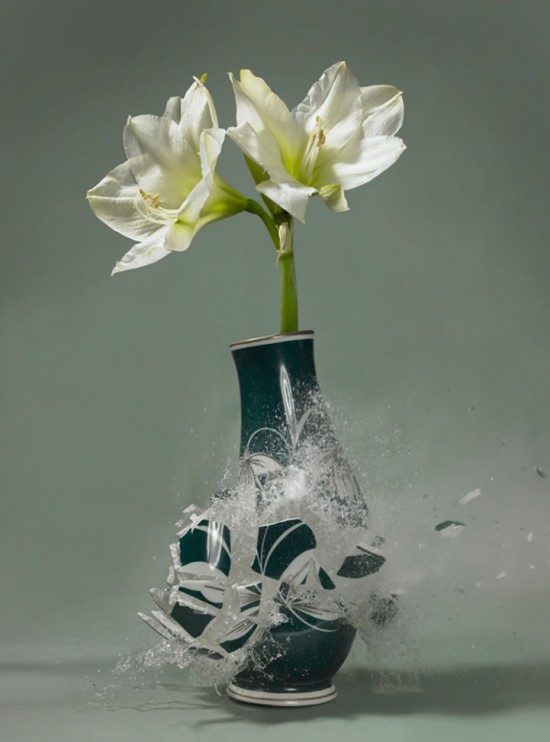 These high-speed photos capture delicate flower vases shattering in mid-air 018