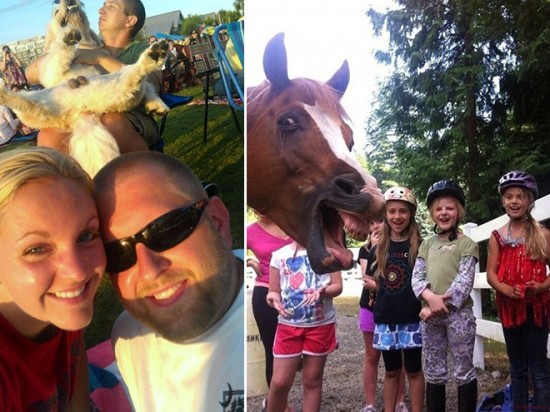 18 Animals That Are Much Better At Photobombing Than Humans 001