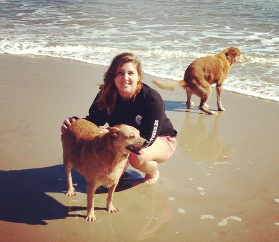 18 Animals That Are Much Better At Photobombing Than Humans 018