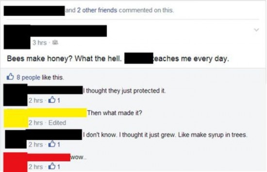 The Dumbest People Comment On Facebook 005