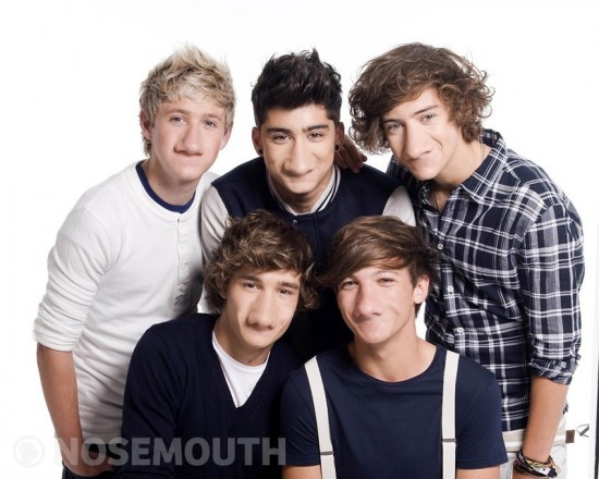 one direction nosemouth
