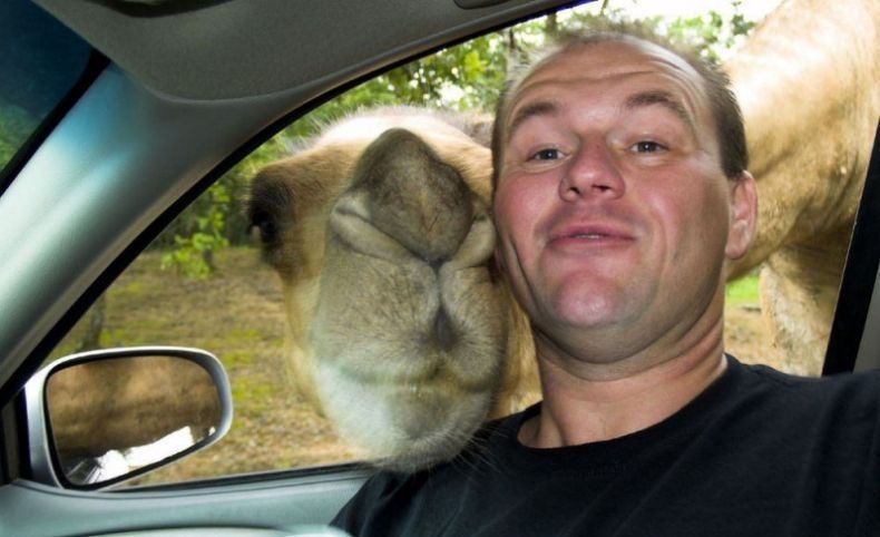 Random Funny Pic