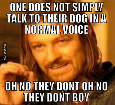 Random Funny Pic