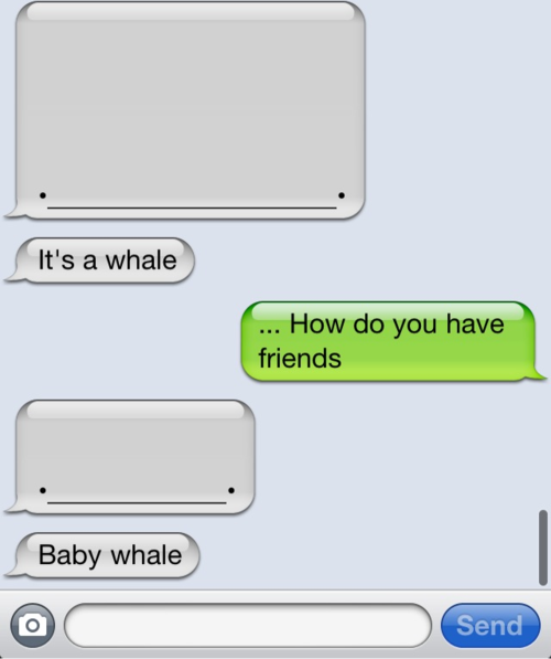 Random Funny Pic